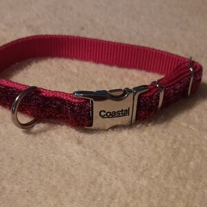 Coastal Pink Dog Collar
